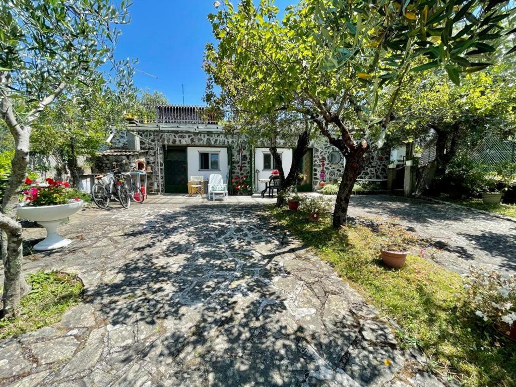 Rosy Apartment - Levanto, 5 Terre Exteriör bild