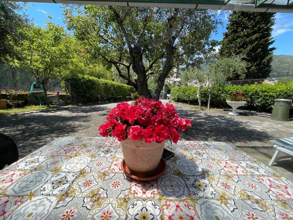 Rosy Apartment - Levanto, 5 Terre Exteriör bild